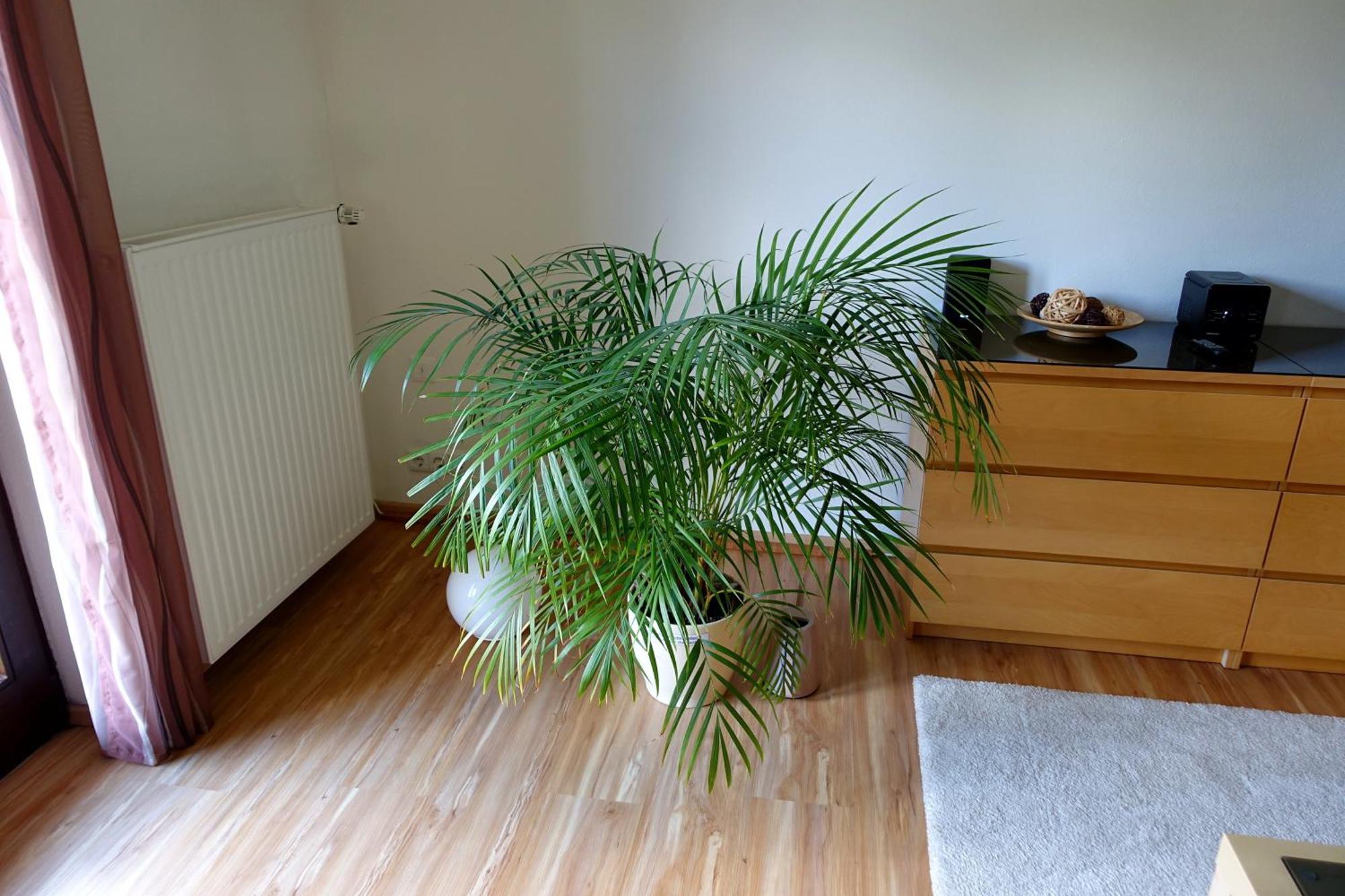 Ferienwohnung Ariane Garmisch-Partenkirchen Luaran gambar